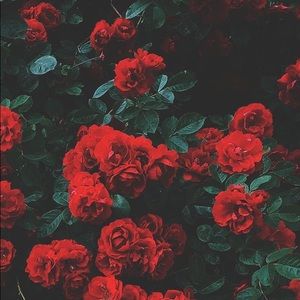 Meet your Posher, Maribel